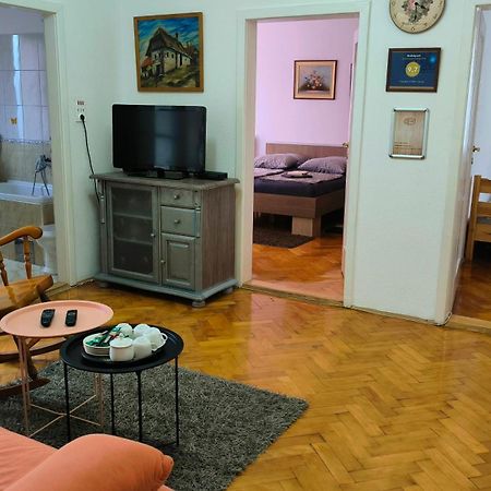 Apartmán Trosoban Stan U Zenici Zenica Exteriér fotografie